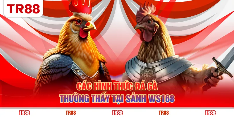 Các hình thức đá gà thường thấy tại sảnh WS168