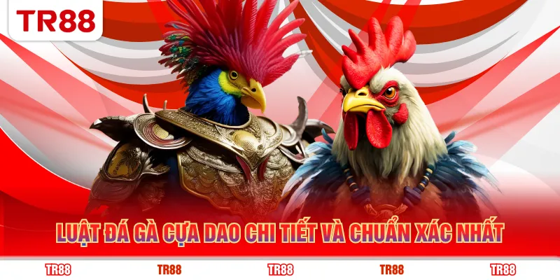 Luật đá gà cựa dao chi tiết và chuẩn xác nhất